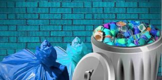 മൂന്ന് മണിക്കൂർ നടത്തം; നഗരം ക്ളീനാക്കി യുവതീയുവാക്കൾ Youth collected waste from Palakkad Corporation