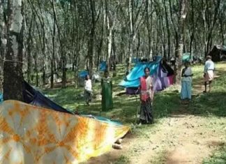 Chengara Rehabilitation Package