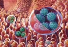 Noro virus confirmed in Lakiti Jawahar Navodaya Vidyalaya