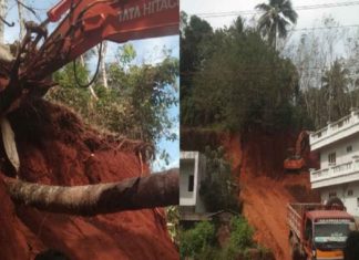 മണ്ണുമാന്തി യന്ത്രത്തിന് മുകളിൽ തെങ്ങ് വീണ് ഡ്രൈവർക്ക് ദാരുണാന്ത്യം hittachi accident death