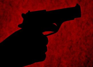 സ്വാതന്ത്ര്യദിന പരേഡിനിടെ വെടിവെപ്പ്; അമേരിക്കയിൽ 22കാരൻ അറസ്റ്റിൽ shot dead