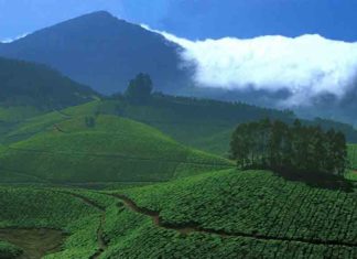 Kasturirangan Final Notification; Central talks with Kerala on December 3
