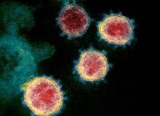 World Health Organization About The Omicrone Varient