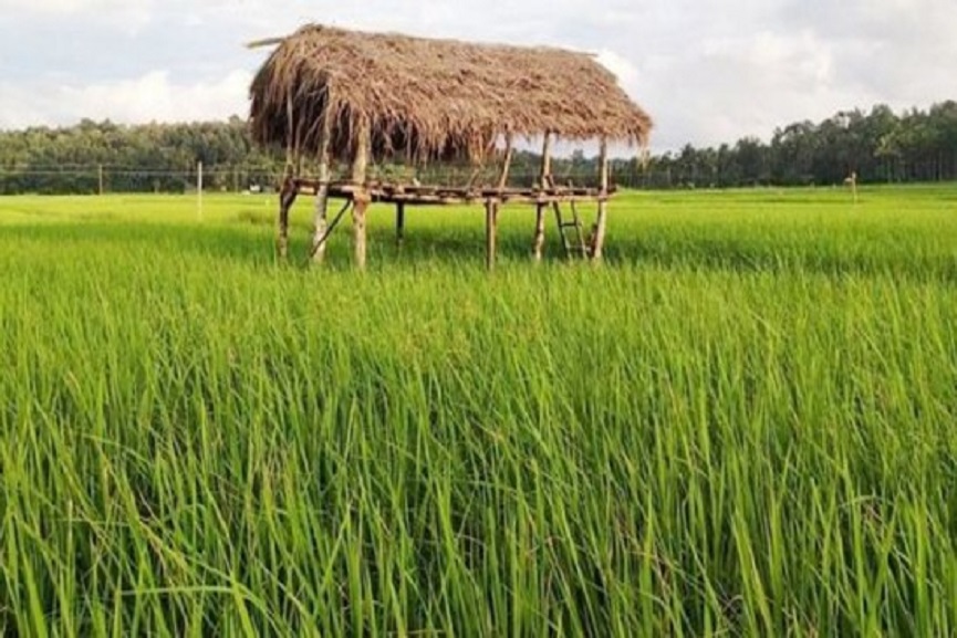 chekadi Chekadi Street Tourism Project