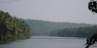 കുതിരപ്പുഴയിൽ കാണാതായ മുത്തശ്ശിയുടെയും പേരക്കുട്ടിയുടെയും മൃതദേഹങ്ങൾ കണ്ടെത്തി drowned to death