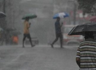 കനത്ത മഴ; പാലക്കാട് ജില്ലയിലെ എല്ലാ വിദ്യാഭ്യാസ സ്ഥാപനങ്ങൾക്കും നാളെ അവധി Heavy Rain alert