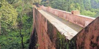 tree cut in Baby Dam; The center sought an explanation