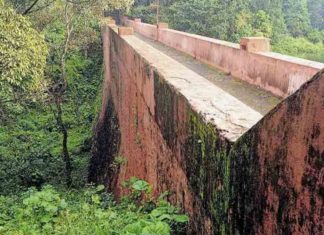 tree cut in Baby Dam; The center sought an explanation