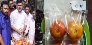 തക്കാളിപെട്ടിക്ക് ഗോദ്റേജിന്റെ പൂട്ട്; വേറിട്ട പ്രതിഷേധവുമായി യൂത്ത് കോൺഗ്രസ് Youth Congress protest