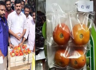 തക്കാളിപെട്ടിക്ക് ഗോദ്റേജിന്റെ പൂട്ട്; വേറിട്ട പ്രതിഷേധവുമായി യൂത്ത് കോൺഗ്രസ് Youth Congress protest