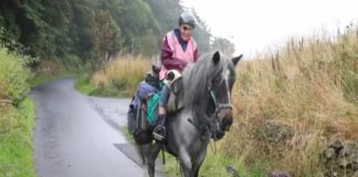 പ്രായം വെറും നമ്പർ മാത്രം; വാർധക്യം ആഘോഷമാക്കി എൺപതുകാരി ജെയ്ൻ 80-year-old-woman