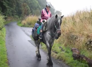പ്രായം വെറും നമ്പർ മാത്രം; വാർധക്യം ആഘോഷമാക്കി എൺപതുകാരി ജെയ്ൻ 80-year-old-woman