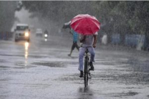 Heavy Rain