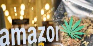 cannabis case-amazon