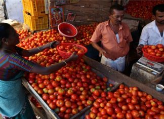Tomato Price Hike In South Indian States