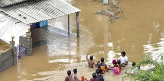 andhra-rain