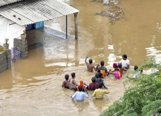 andhra-rain