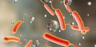 Presence of cholera in alappuzha