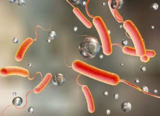 മലപ്പുറത്ത് രണ്ടുപേർക്ക് കോളറ സ്ഥിരീകരിച്ചു; ജാഗ്രതാ നിർദ്ദേശം Presence of cholera in alappuzha