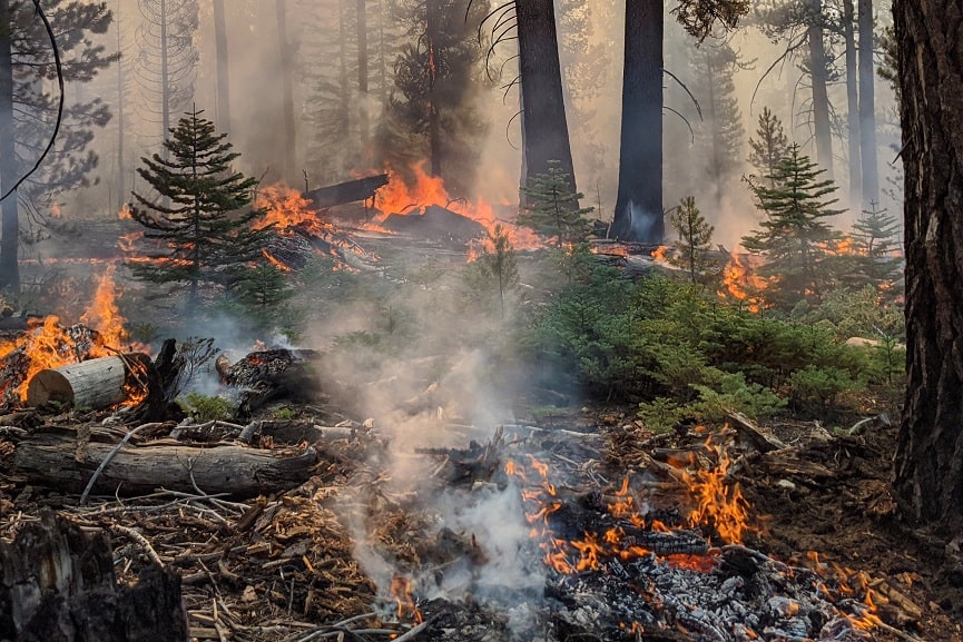 kalifornia-fire kalifornia-fire