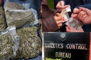 Drug Trafficking