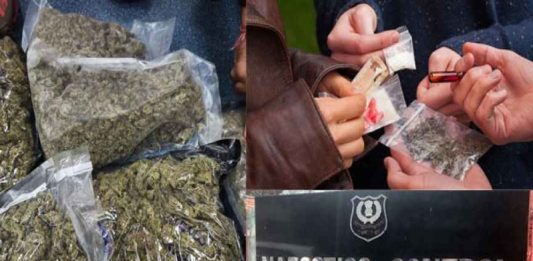 Drug Trafficking