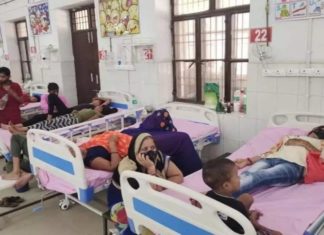 dengue-in-up