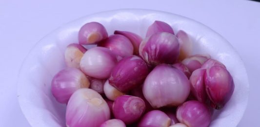 Benefits Of Small Onion For Health