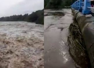 ആളിയാർ ഡാമിന്റെ ഷട്ടറുകൾ അടച്ചു; പുഴകളിൽ ജലനിരപ്പ് താഴ്ന്ന് തുടങ്ങി Shutters of Aliyar Dam closed