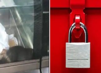 Rat in the cage at Kozhikode Bakery