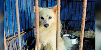 The wait is not over; Ukru will be at home waiting for Baiju