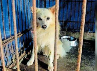 The wait is not over; Ukru will be at home waiting for Baiju