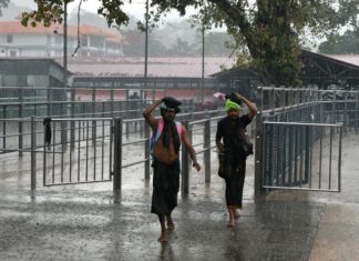 കനത്ത മഴയും മൂടൽമഞ്ഞും; കാനന പാതകളിലൂടെയുള്ള യാത്ര നിരോധിച്ചു Sabarimala