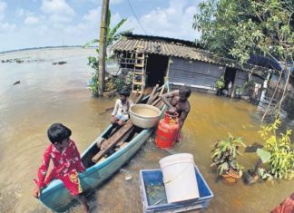 മഴയിൽ മുങ്ങി കുട്ടനാട്; താഴ്ന്ന പ്രദേശങ്ങളിൽ വെള്ളം കയറി Heavy Rain Continues And Issues In Kuttanadu