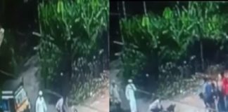 താമരശ്ശേരിയിൽ വീട്ടമ്മയ്ക്ക് നേരെ വളർത്തു നായ്ക്കളുടെ ആക്രമണം; ഗുരുതര പരിക്ക് Pet dogs attack housewife in Thamarassery