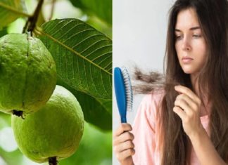 guava leaf for hair