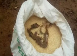 A dead snake was found in a rice