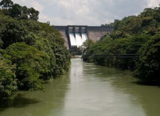 ജലനിരപ്പ് ഉയർന്നു; പരപ്പാർ അണക്കെട്ട് പരമാവധി സംഭരണ ശേഷിയിലേക്ക് Water Level Hike To The Maximum Level In Parappar Dam