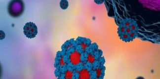 Noro Virus Kerala