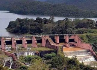 മുല്ലപ്പെരിയാറിലെ മരം മുറിക്കൽ; സർക്കാർ വാദം പൊളിയുന്നു, നടപടികൾ മാസങ്ങൾക്ക് മുൻപേ തുടങ്ങി The government's argument falls apart, and proceedings began months ago