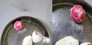 വിദ്യാർഥികൾക്ക് നൽകാനിരുന്ന മുട്ടകളിൽ അതിമാരക ബാക്ടീരിയ; ദുരന്തം ഒഴിവായത് തലനാരിഴയ്ക്ക് bacteria in eggs