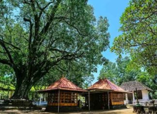 เดชเตเดคเตเด เดเตเดฑเดฟเดธเด; เด
เดฃเตเดเดฒเตเดฐเดฟเตฝ เดฐเดฃเตเดเดพเดเดเดเตเด เดชเตเดฐเดตเตเดคเตเดคเดฟเดเตพเดเตเดเต เดคเตเดเดเตเดเดฎเดพเดฏเดฟ andaloor kaav