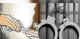 Revenue inspector arrested