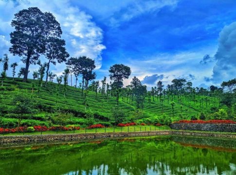 വയനാട് പ്രിയദർശിനി പ്ളാന്റേഷൻ ടൂറിസം പദ്ധതി വരുന്നു Priyadarshini-Tea-plantation-tourism