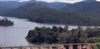 മരംമുറിക്കൽ ഉത്തരവ്; കേരളത്തിന്റെ തീരുമാനം മാനിക്കുന്നതായി തമിഴ്നാട് Tamilnadu In the Kerala Decision To Freez Tree Cutting In Mullapperiyar