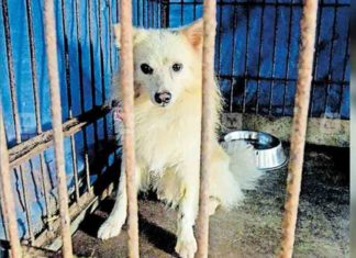 ബൈജുവിന്റെ ജയിൽവാസം ഉക്രുവിന് താങ്ങാനാവുന്നില്ല; അവൻ നിരാഹാരത്തിലാണ് Ukru can't afford Baiju's imprisonment; He is fasting