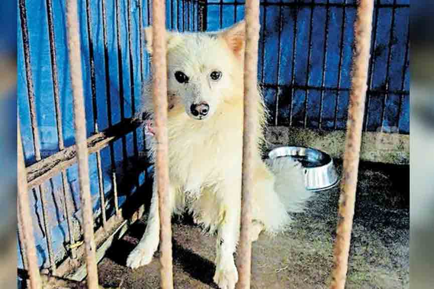 Ukru-in-Fasting Ukru can't afford Baiju's imprisonment; He is fasting