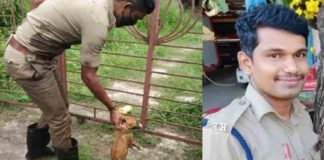 Fire Force rescue dog trapped in a ditch