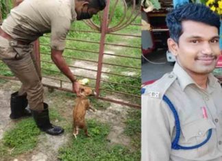 ഓടയിൽ കുടുങ്ങിയ നായക്കുട്ടിക്ക് രക്ഷകരായി അഗ്നിരക്ഷാ സേന Fire Force rescue dog trapped in a ditch