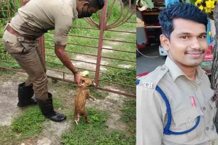 Shubha-Vartha Fire Force rescue dog trapped in a ditch